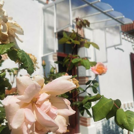Au Coin Fleuri Villa ลา แบร์เนอรี ออง เรตซ์ ภายนอก รูปภาพ