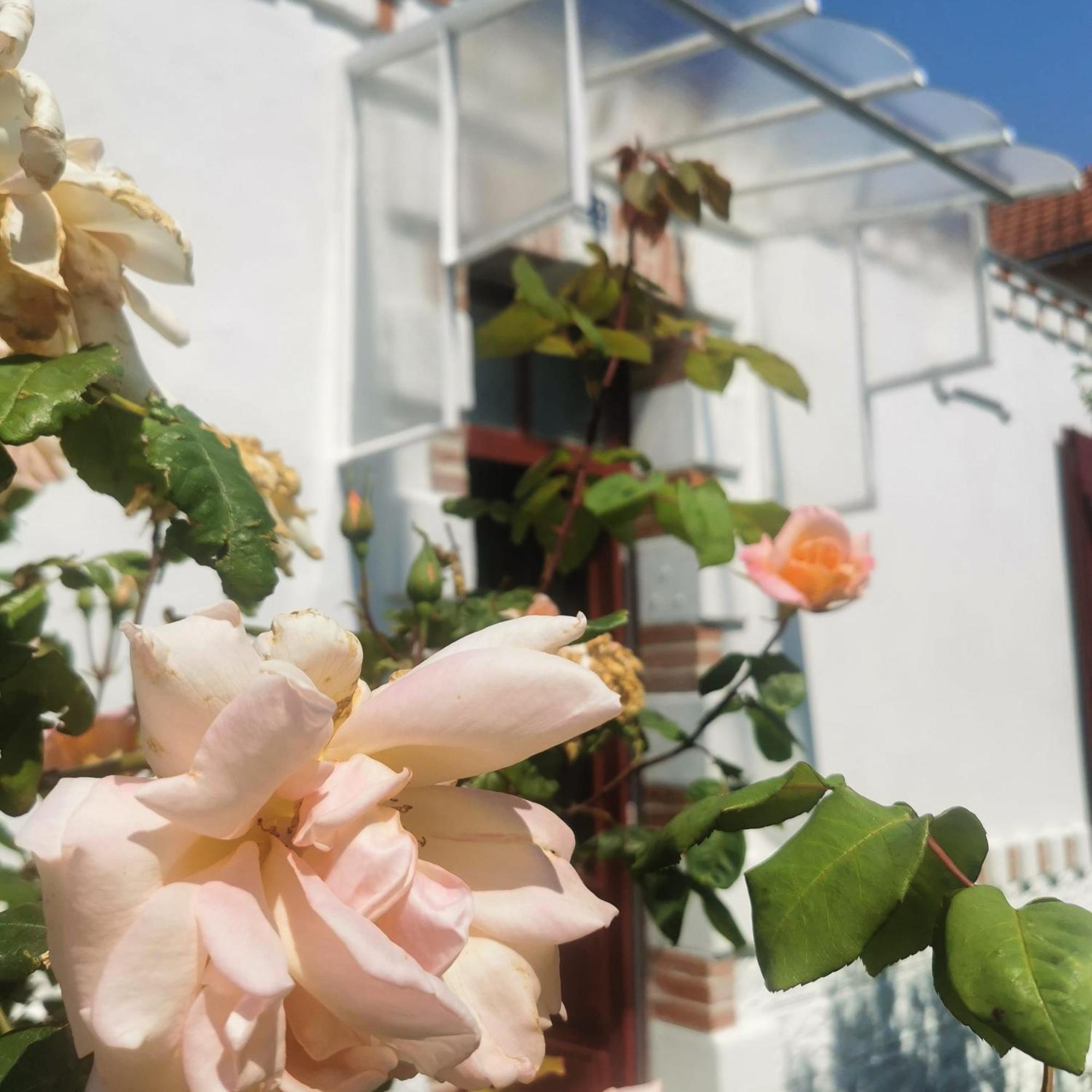 Au Coin Fleuri Villa ลา แบร์เนอรี ออง เรตซ์ ภายนอก รูปภาพ